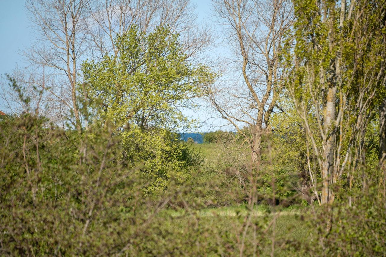 image 04