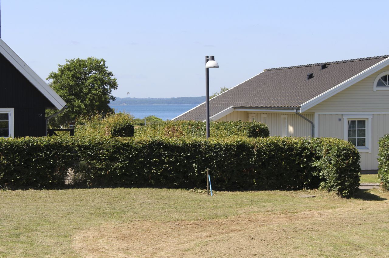 image 02